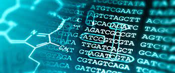 Certificate Course in Bioinformatics