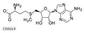 GIF of S-Adenosyl-L-methionine;