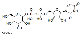 GIF of UDP-glucose;