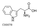 GIF of L-Tryptophan;