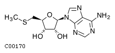 GIF of 5'-Methylthioadenosine;