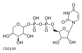 GIF of UDP-D-xylose;