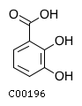 GIF of 2,3-Dihydroxybenzoate;