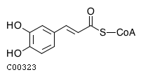 GIF of Caffeoyl-CoA;