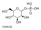 GIF of D-Mannose 1-phosphate;