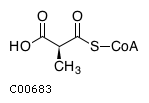 GIF of (S)-Methylmalonyl-CoA;
