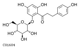 GIF of Phlorizin;