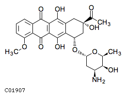 GIF of Daunorubicin;
