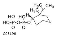 GIF of (+)-Bornyl diphosphate