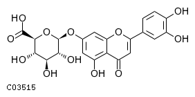 GIF of Luteolin 7-O-glucuronide;