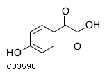 GIF of 4-Hydroxyphenylglyoxylate;
