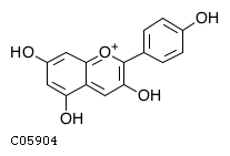 GIF of Pelargonidin;