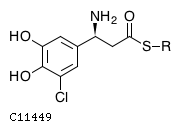GIF of (S)-3-Chloro-4,5-dihydroxy-beta-phenylalanyl-[pcp];