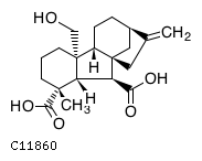 GIF of Gibberellin A15 open lactone