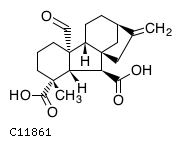 GIF of Gibberellin A24