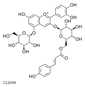 GIF of Cyanidin 3-O-(6-O-p-coumaroyl)glucoside-5-O-glucoside;