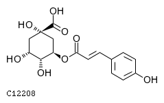 GIF of p-Coumaroyl quinic acid;