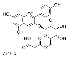GIF of Pelargonidin 3-O-(6-O-malonyl-beta-D-glucoside)