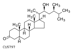 GIF of 22alpha-Hydroxy-5alpha-campestan-3-one;