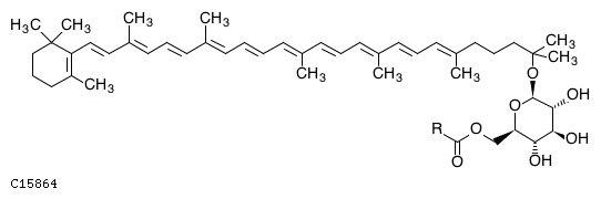GIF of 1'-Hydroxy-gamma-carotene glucoside ester