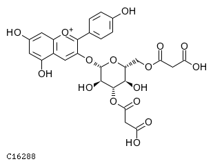 GIF of Pelargonidin 3-O-3'',6''-O-dimalonylglucoside