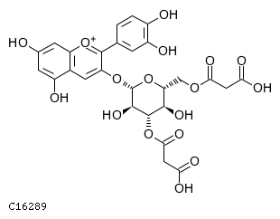 GIF of Cyanidin 3-O-3'',6''-O-dimalonylglucoside