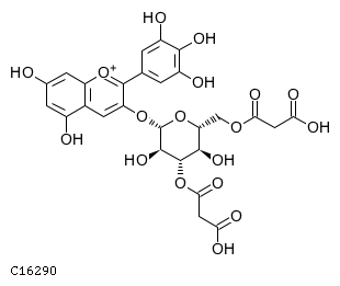 GIF of Delphinidin 3-O-3'',6''-O-dimalonylglucoside