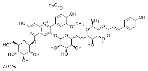 GIF of Malvidin-3-(p-coumaroyl)-rutinoside-5-glucoside