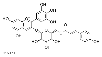 GIF of Delphinidin 3-(6-p-coumaroyl)glucoside