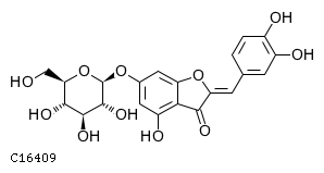 GIF of Aureusidin 6-O-glucoside;