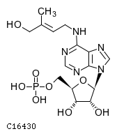 GIF of trans-Zeatin riboside monophosphate