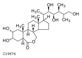 GIF of 26-Hydroxybrassinolide