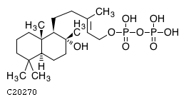 GIF of Copal-8-ol diphosphate;
