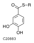GIF of 3,4-Dihydroxybenzoyl-[aryl-carrier protein];