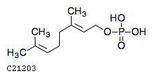 Structure of Geranyl phosphate