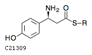 GIF of (S)-beta-Tyrosyl-[pcp]