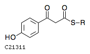 GIF of 3-(4-Hydroxyphenyl)-3-oxopropanoyl-[pcp];