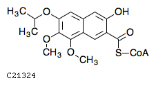 GIF of 3-Hydroxy-7,8-dimethoxy-6-isopropoxy-2-naphthoyl-CoA